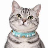 Aqua Bow Natural Stone Beaded Pet Collar