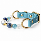 Aqua Clarity Arc Beaded Pet Collar