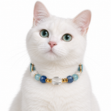 Aqua Clarity Arc Beaded Pet Collar