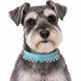 Aqua-Tauperlen-Halsband für Haustiere