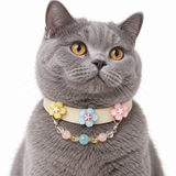 Aqua Pastel Bloom Beaded Pet Collar