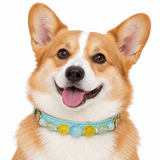 Jade Mist Natural Stone Beaded Pet Collar