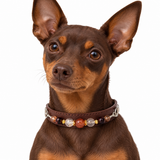 Herbstglut-Halsband mit Natursteinperlen für Haustiere
