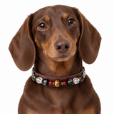 Autumn Mosaic Natural Stone Beaded Pet Collar