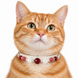 Berry Snow Beaded Pet Collar