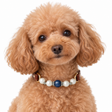Blue Pearl Arc Beaded Pet Collar