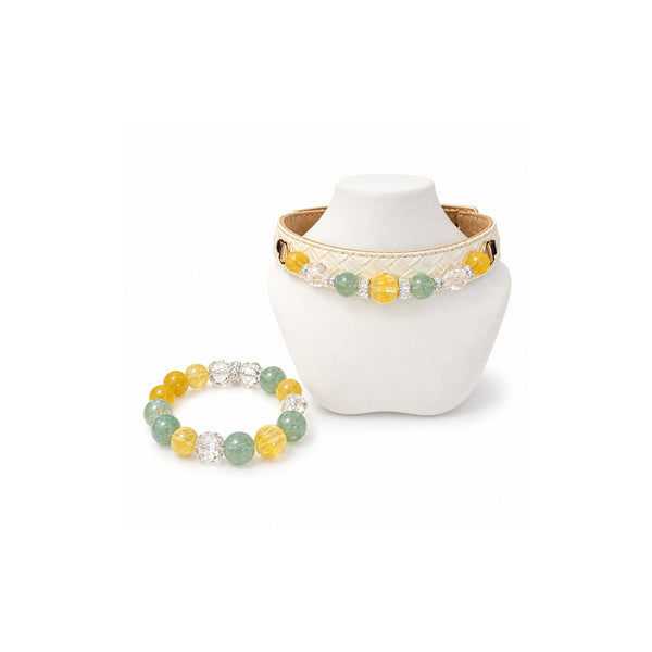 Citrus Meadow Mensch & Haustier Set