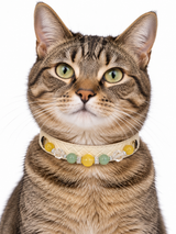 Citrus Meadow Human & Pet Match