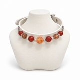 Crimson Grove Partner-Armbandset für Mensch & Tier