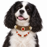 Crimson Pearl Human & Pet Match