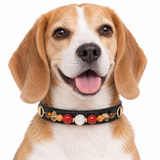 Sage Mist Natural Stone Beaded Pet Collar