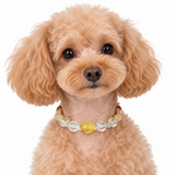 Golden Arc Natural Stone Beaded Pet Collar