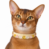 Halsband für Haustiere aus Golden Blush Natursteinperlen