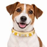 Golden Bow Natural Stone Beaded Pet Collar