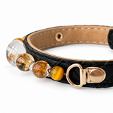 Golden Clarity Perlen-Halsband für Haustiere