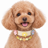 Golden Garden Blossom Perlen-Halsband für Haustiere