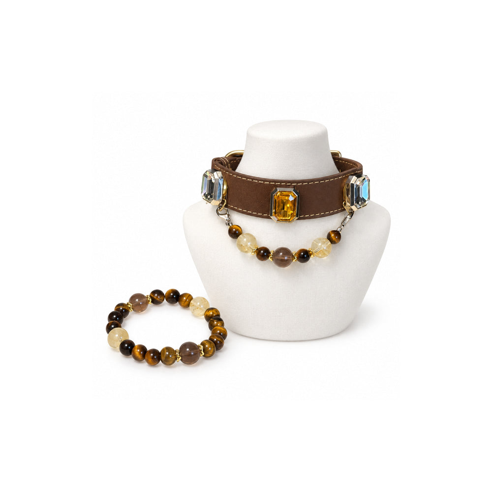 Gold-Mokka Partner-Armband und Haustierhalsband