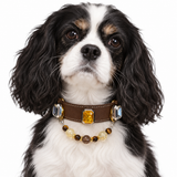 Gold-Mokka Partner-Armband und Haustierhalsband