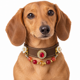 Golden Scarlet Crest Beaded Pet Collar
