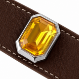 Golden Scarlet Facet Beaded Pet Collar