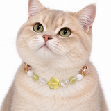 Halsband für Haustiere aus goldenen Natursteinperlen