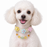 Lemon Meadow Blossom Beaded Pet Collar