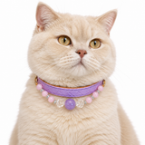 Lilac Clarity Human & Pet Match
