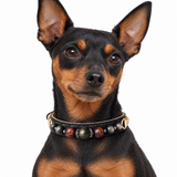 Midnight Ember Natural Stone Beaded Pet Collar