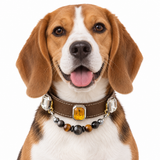 Midnight Tiger Facet Beaded Pet Collar