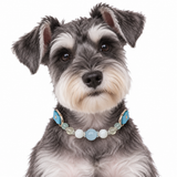 Moonlit Aqua Natural Stone Beaded Pet Collar