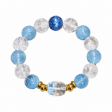 Ocean Clarity Mensch & Haustier Match