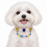 Ocean Raindrop Crest Beaded Pet Collar