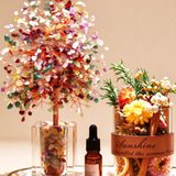 Natural Rose Quartz Money Tree Essential Oil Diffuser