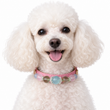 Pastel Crown Beaded Pet Collar