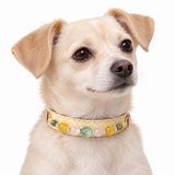 Pastel Meadow Natural Stone Beaded Pet Collar