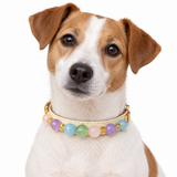 Pastel Prism Natural Stone Beaded Pet Collar
