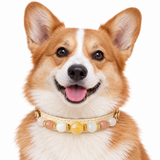 Peach Sunrise Natural Stone Beaded Pet Collar