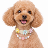 Pink Meadow Blossom Beaded Pet Collar