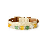 Citrus Garden Natural Stone Beaded Pet Collar