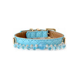 Aqua-Tauperlen-Halsband für Haustiere