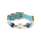 Aqua Clarity Arc Beaded Pet Collar