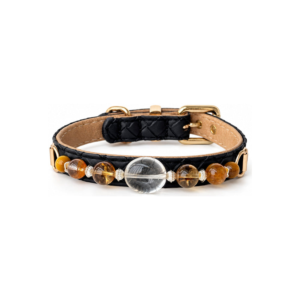 Golden Clarity Perlen-Halsband für Haustiere