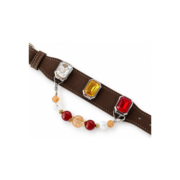 Golden Scarlet Facet Beaded Pet Collar