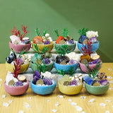 Zodiac Mini Stone Garden DIY Kit