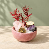 Zodiac Mini Stone Garden DIY Kit