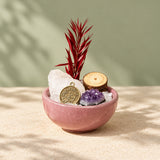 Zodiac Mini Stone Garden DIY Kit