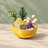Zodiac Mini Stone Garden DIY Kit