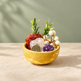 Zodiac Mini Stone Garden DIY Kit