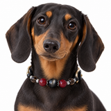 Smoky Scarlet Natural Stone Beaded Pet Collar