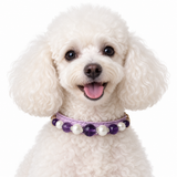 Forest Dew Natural Stone Beaded Pet Collar